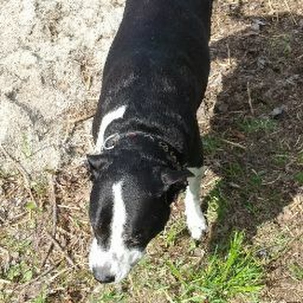 Meet your Posher, Dustyn jane